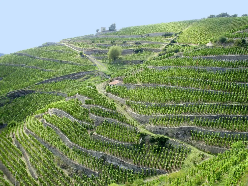 vue panoramique Ardèche